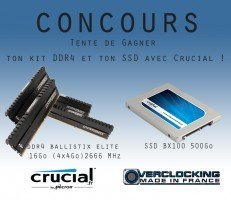 concours omf crucial bx100 bx elite 2666