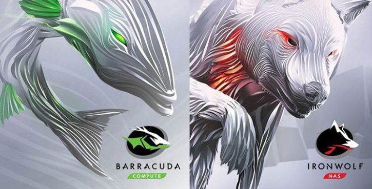 Seagate Barracuda - Ironwolf